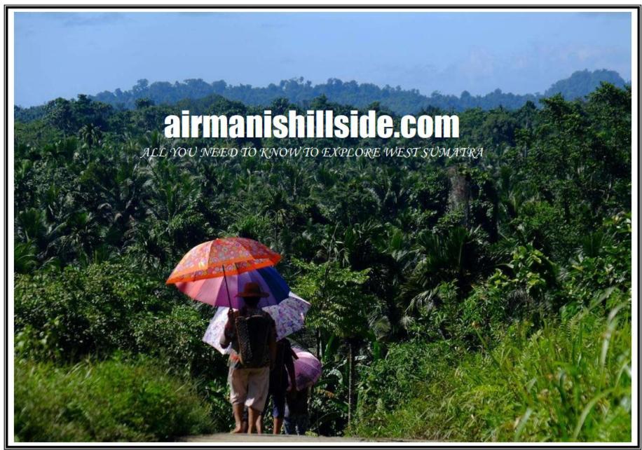 Air Manis Hillside Villa Cafe & Resto 파당 외부 사진